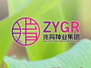 【簽約】河北兆育種業集團有限公司，簽署網站改版升級合同