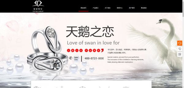企業(yè)網(wǎng)站建設，視頻網(wǎng)站運營模式類別