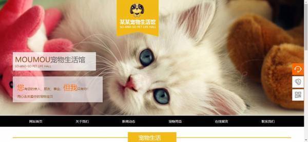 企業網站建設，網站性價比