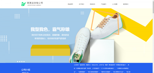 公司網站制作，內部網絡攻擊