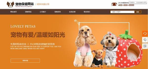 公司網站制作，明確建站目的和功能定位