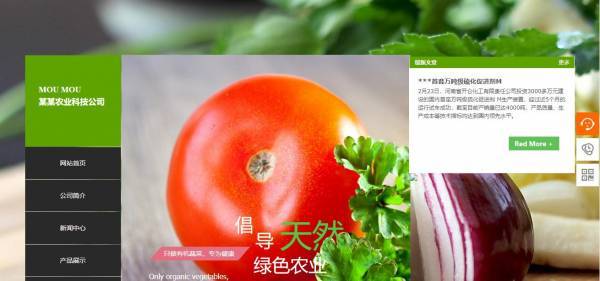 公司網站制作，2025年不可錯過的設計風格